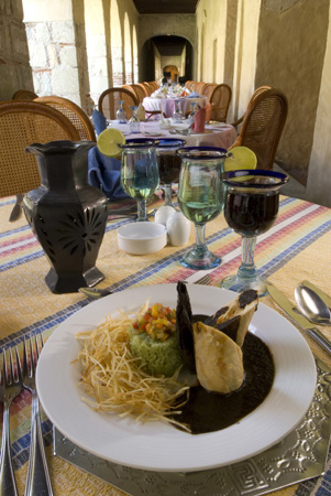 Mole Gericht von Puebla